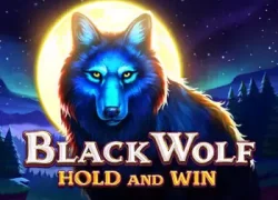 Black Wolf Hold and Win Slot